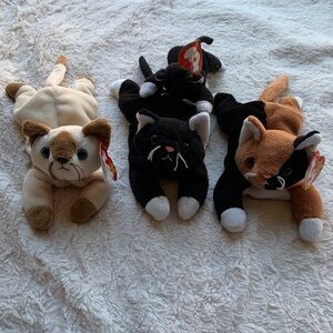 Cat Beanie Babies Bundle